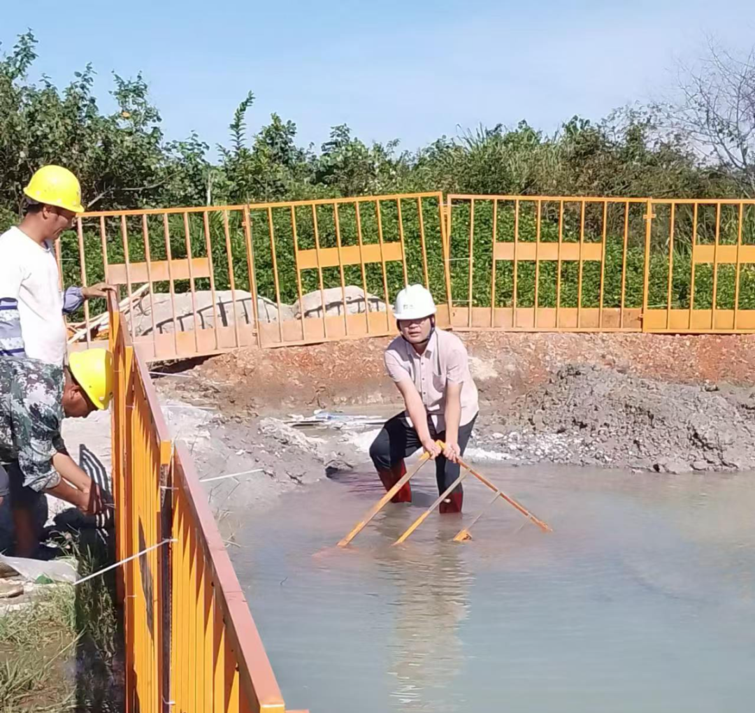 全力以“复” 琼海代建项目暂时党支部抓紧开展灾后恢复事情